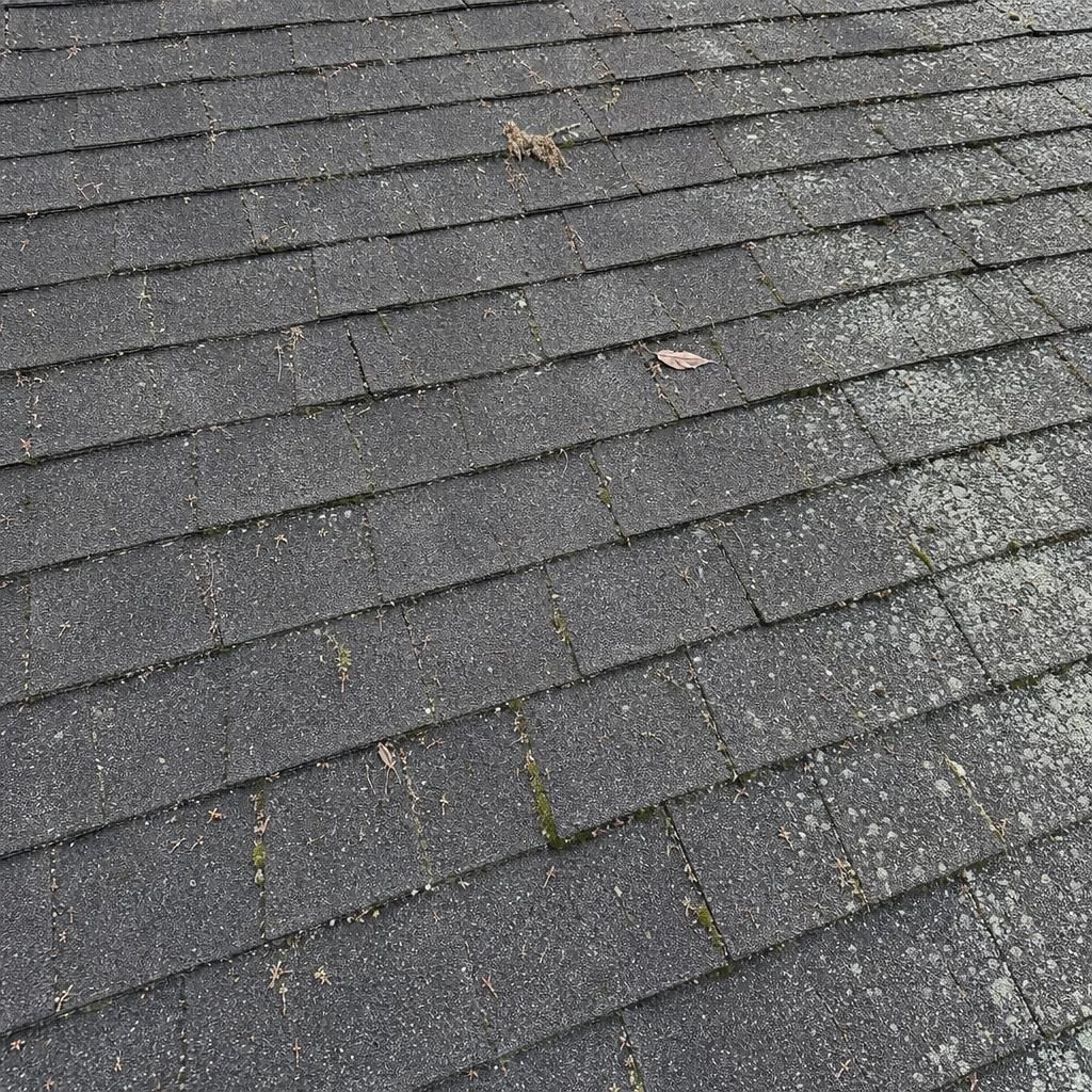 Asphalt shingle roof with visible hail impact bruising and granule loss